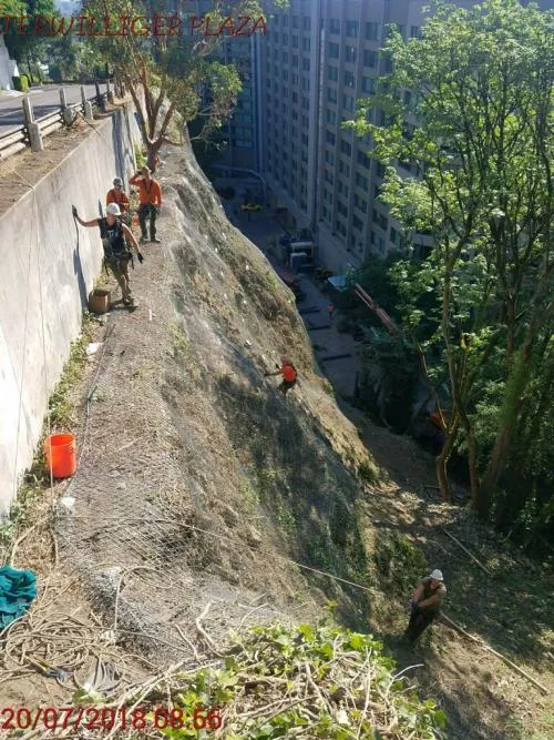Slope Stabilization