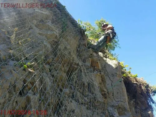 Terwilliger Plaza Slope Stabilization - Image 3