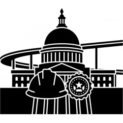 Government icon