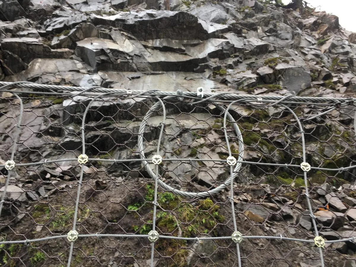 Pinned Mesh Systems - Image 2